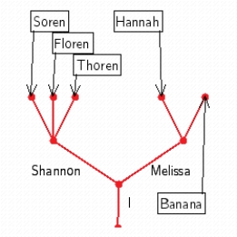 <strong>Use a tree to show the following family tree. You have two children, Shannon and Melissa. Shannon has two children, Soren and Thoren. Melissa has three children, Hannah, Banana, and Mike.</strong> A) B) C) D) E)