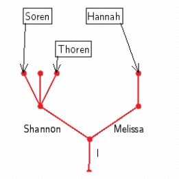 <strong>Use a tree to show the following family tree. You have two children, Shannon and Melissa. Shannon has two children, Soren and Thoren. Melissa has three children, Hannah, Banana, and Mike.</strong> A) B) C) D) E)