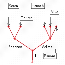 <strong>Use a tree to show the following family tree. You have two children, Shannon and Melissa. Shannon has two children, Soren and Thoren. Melissa has three children, Hannah, Banana, and Mike.</strong> A) B) C) D) E)