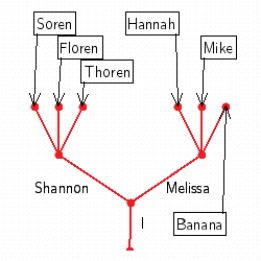 <strong>Use a tree to show the following family tree. You have two children, Shannon and Melissa. Shannon has two children, Soren and Thoren. Melissa has three children, Hannah, Banana, and Mike.</strong> A) B) C) D) E)