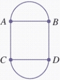Is the network a Euler circuit or a Hamiltonian circuit? Can this network be traversed? Answer yes or no.