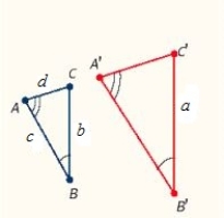 <strong>List the lengths of all six sides for the figures given in the problem. Where </strong> A) B) C) D) E) none of these choices
