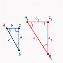 Given two similar triangles, find b<sub>1</sub>. 