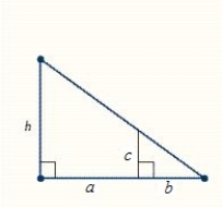 The figure contains two similar triangles. Find the unknown measure indicated by a variable. Round your answer to the nearest tenth. Where 