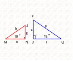 Are the triangles similar or not similar? 