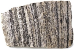 <strong> Which kind of stress (confining pressure or differential stress)is responsible for creating the texture visible in this rock?</strong> A)Confining pressure B)Differential stress