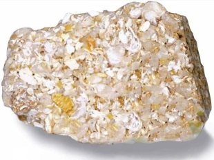 <strong> What is the name of the rock in the above image?</strong> A)Breccia B)Limestone C)Shale D)Coquina