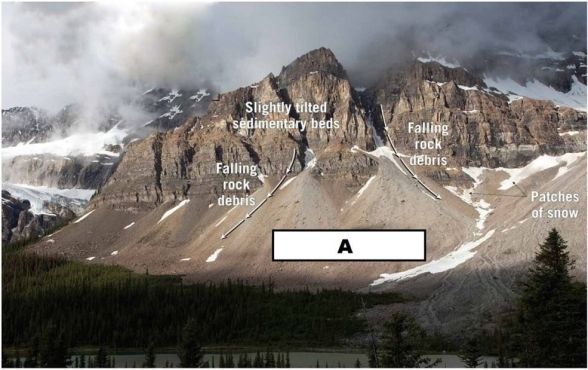 <strong> Study this image and think about what the climate is like in this region.Which weathering process would you assume is responsible for material A?</strong> A)Dissolution B)Hydrolysis C)Frost wedging D)Exfoliation