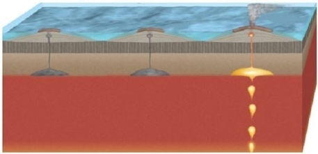 <strong> How is this chain of volcanic islands forming?</strong> A)A tectonic plate is being subducted and partially melted, producing magma that rises to create a volcanic chain. B)Two tectonic plates are pulling apart, creating magma through decompression melting. C)A tectonic plate is moving over a mantle plume, which burns through the plate to create a chain of volcanoes. D)Tectonic plates are sliding past each other, generating magma, which creates a volcano.