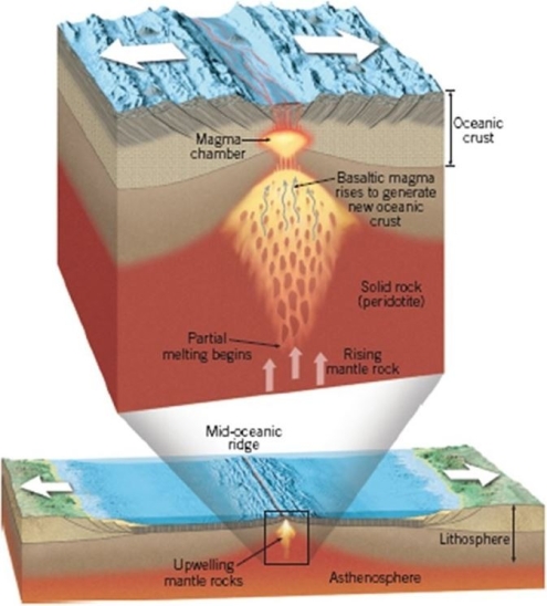 Explain the processes occurring in the figure above that are generating magma.At what kind of tectonic boundary are such processes common?
