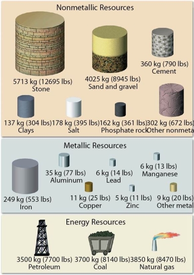 <strong> Of all the mineral and energy resources in this figure, which is the most important resource in terms of quantity consumed?</strong> A)Natural gas B)Iron C)Petroleum D)Stone