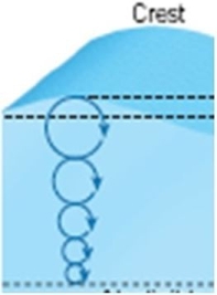 <strong> What kind of wave motion is visible in this image?</strong> A)Circular orbital motion B)Breaking wave C)Rip current D)Longshore current