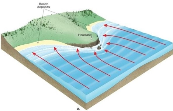 <strong> Which areas on this image will be dominated by deposition and which will be dominated by erosion?</strong> A)Beaches will be dominated by erosion and the headland will be dominated by deposition. B)Both the beaches and the headland will be dominated by deposition. C)Beaches will be dominated by deposition and the headland will be dominated by erosion. D)Both the beaches and the headland will be dominated by erosion.