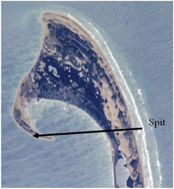 <strong> This image contains a spit, which is identified by an arrow.(The arrow is only for identification purposes.)Using the shape of the spit, from which direction is the longshore current coming? Assume for our purposes that the top of the figure is north.</strong> A)From west to east B)From north to south C)From north to west D)From south to east