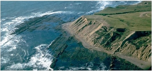 <strong> Which of the following scenarios could result in the exposure of the feature in this image?</strong> A)Rising sea level floods this part of the shoreline. B)Longshore currents deposit sand. C)Rip currents remove beach deposits. D)Tectonic activity raises the landscape.