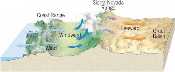 <strong> Why does the rainshadow desert form on the downwind side of the mountains?</strong> A)The air mass has absorbed all the moisture on that side as it descended. B)The mountains block wind from that region, making it hot. C)The sediments on the downwind side are porous. D)The moisture was precipitated from the air mass on the upwind side.