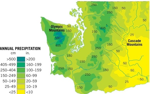 <strong> Based on the precipitation data available here, which region in Washington State would be the most likely location of a rainshadow desert?</strong> A)West in the Olympic Mountains B)Southeastern Washington C)Central Washington in the Cascade Mountains D)Southwestern Washington