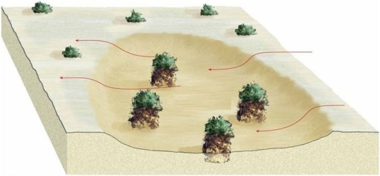 <strong> How was this feature created?</strong> A)Erosion via water B)Scouring via ice C)Deflation via wind D)Deformation via stress