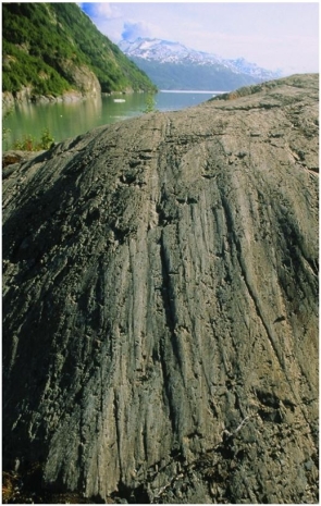 <strong> Which method of glacial erosion is responsible for the marks in this image?</strong> A)Abrasion B)Plucking C)Quarrying D)Jointing