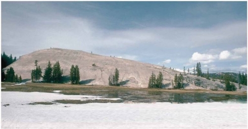 <strong> What erosional feature is visible in this image? (Hint: It is bedrock.)</strong> A)Arête B)Moraine C)Drumlin D)Roche moutonnée