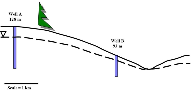 <strong>  This image shows the gradient of the water table between Well A and Well B.Please note that the label for each well also displays the elevation of the water table in that well.Using the information present in the figure, calculate the hydraulic gradient of this cross section.</strong> A)8 m/km B)11.7 m/km C)21.9 m/km D)32 m/km <div style=padding-top: 35px> 