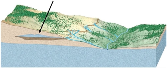 <strong>  What feature is highlighted with an arrow in this image?</strong> A)Sinkhole B)Perched water table C)Cone of depression D)Ground subsidence <div style=padding-top: 35px> 