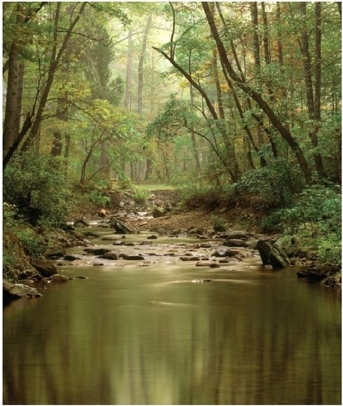   What kind of streamflow is present in this image?