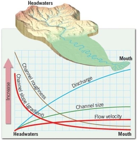 Using the information provided above, describe what changes will happen to the stream and its streamflow as the water moves from the head to the mouth.