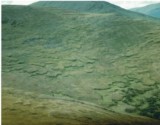 <strong> Assuming this location is near the Arctic Circle, what kind of mass wasting is visible in this image?</strong> A)Mudflow B)Creep C)Solifluction D)Rockslide