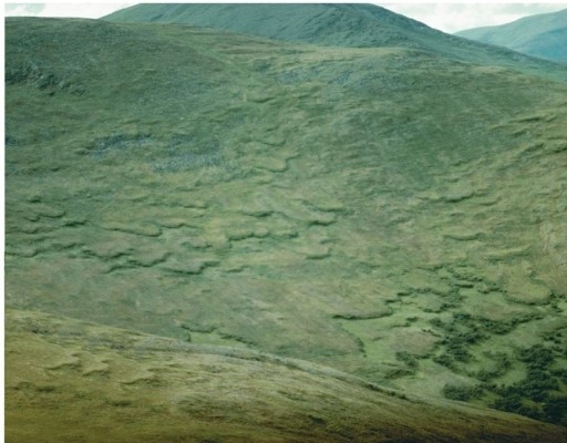 <strong> Which one of the following locations would be most likely to have the mass wasting process visible here? (Note: The region is underlaid by permafrost.)</strong> A)Siberia B)Colorado C)Japan D)Kansas