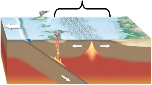 <strong> Which part of the subduction zone is indicated in this image?</strong> A)Deep-ocean trench B)Forearc basin C)Volcanic arc D)Back-arc basin