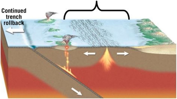 <strong> Notice the part of this image labeled continued trench rollback. What is happening in trench rollback?</strong> A)Old, dense lithosphere sinks, creating slab suction that pulls the upper plate toward the trench. B)Continued tension on the plate results in rifting, dropping blocks of continental crust. C)The trench gets deeper as the descending plate locks against the overriding plate and pulls it down. D)Rising magma plutons melt the base of the lithosphere to create a depression.