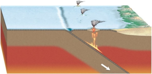 <strong> What kind of volcanic chain is present in this image?</strong> A)Hot spot volcanoes B)Volcanic island arc C)Continental volcanic arc D)Rift volcanoes