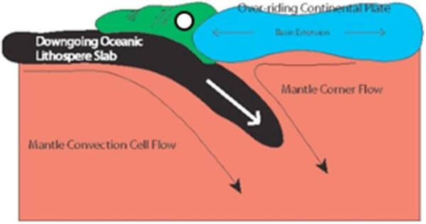 <strong> What geologic body is marked in this image by the circle?</strong> A)Batholith B)Accreted terrane C)Oceanic lithosphere D)Flood basalts