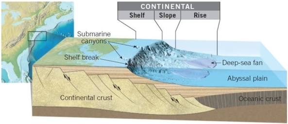 <strong> Which location possesses the continental margin in this image?</strong> A)Western margin of South America B)Eastern margin of North America C)East of Japan D)Around the Philippines