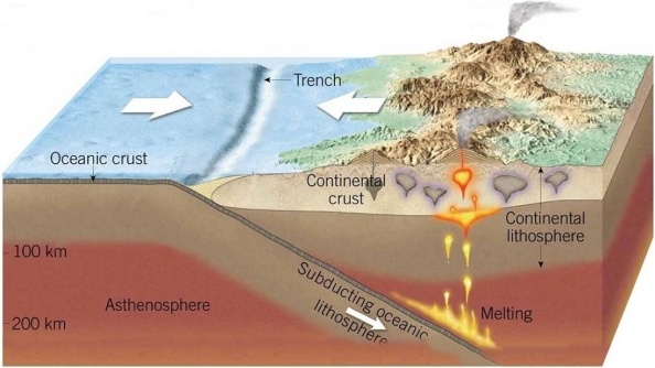 <strong> Give a location of where one might find the continental margin in this image.</strong> A)Off the coast of southern California B)Eastern margin of North America C)Western margin of South America D)Northern margin of North America