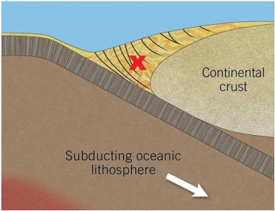<strong> What feature in this image is indicated with arrow X? (Note: it is made of sediments.)</strong> A)Deep-sea fan B)Accretionary wedge C)Turbidity current D)Deep-ocean trench