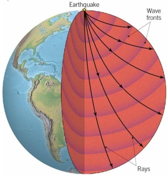 <strong>Which of these four images would accurately demonstrate the path seismic rays would take through the interior if the interior of Earth was made of uniform materials?</strong> A) B) C) D)