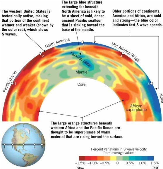<strong> This seismic tomographic slice of Earth indicates the variations in S-wave speeds through the interior.Through which region will S waves move the fastest?</strong> A)Pacific Ocean B)Farallon plate C)Mid-Atlantic Ridge D)Africa