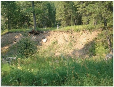 <strong> What feature, evidence of dip-slip activity, is shown in this image?</strong> A)Anticline B)Slickensides C)Fault scarp D)Joints