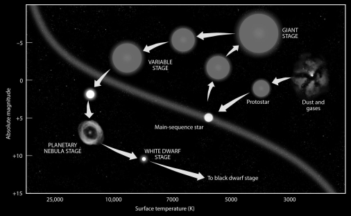 Briefly explain the sequence of events that are illustrated in Figure 24.11 below.  <div style=padding-top: 35px> 