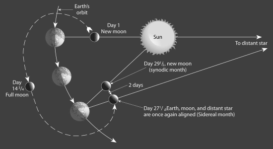 Use Figure 21.26 below to help explain the difference between the sidereal and synodic month.