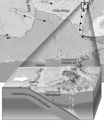 Match the letter of each illustration below to the correct type of plate boundary. A) transform B) divergent C) convergent (a) __________ (b) __________ (c) __________
