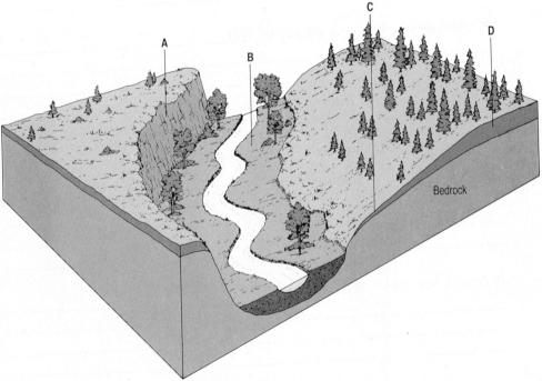 Carefully examine the illustration below and the features labeled A through D. Give a letter (A, B, C, or D) for each answer below. (a) At which location would the thickest residual soil develop? __________ (b) At which location would the greatest amount of frost wedging occur? __________ (c) At which location would the thickest transported soil develop? __________ (d) At which location would there be the most unconsolidated deposits? __________