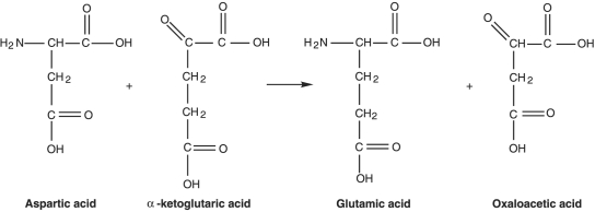 <strong>Figure 5.2 What type of reaction is in Figure 5.2?</strong> A) Reduction B) Decarboxylation C) Dehydrogenation D) Oxidation E) Transamination