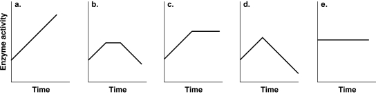 <strong>Figure 5.5 Which of the graphs in Figure 5.5 best illustrates the activity of an enzyme that is saturated with substrate?</strong> A) a B) b C) c D) d E) e