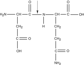 <strong>Figure 2.4 What kind of bond is at the arrow in Figure 2.4?</strong> A) Hydrogen bond B) Double covalent bond C) Peptide bond D) Ionic bond E) None of the above