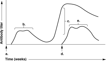 <strong>Figure 17.1 In Figure 17.1, the arrow at time d indicates</strong> A) The secondary response. B) The time of exposure to the same antigen as at time a. C) Exposure to a new antigen. D) The primary response. E) None of the above.