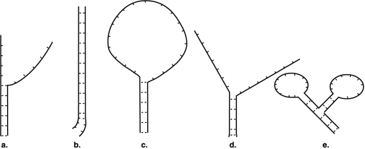 <strong>Figure 10.1 A nucleic acid hybridization experiment produced the following results. In Figure 10.1, which figure shows the most closely related organisms?</strong> A) a B) b C) c D) d E) e
