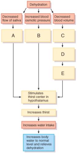 <strong>What type of receptors (labeled B in the diagram)are used to sense increased blood osmotic pressure?  </strong> A)baroreceptors B)nociceptors C)proprioceptors D)mechanoreceptors E)osmoreceptors <div style=padding-top: 35px> 